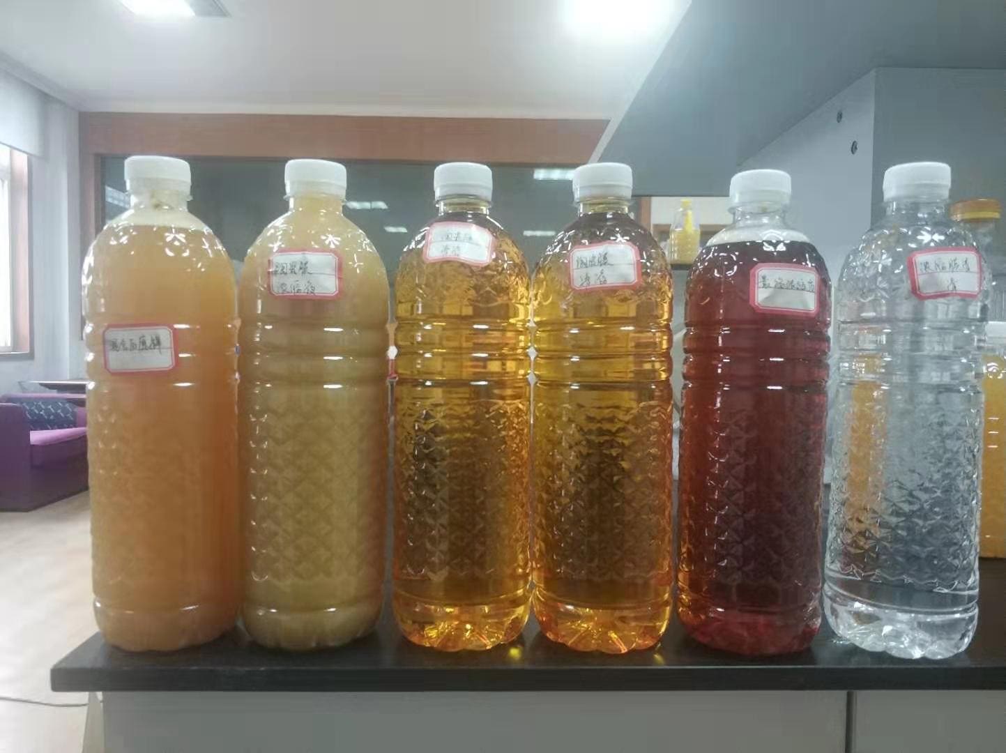 板藍根的提取和濃縮